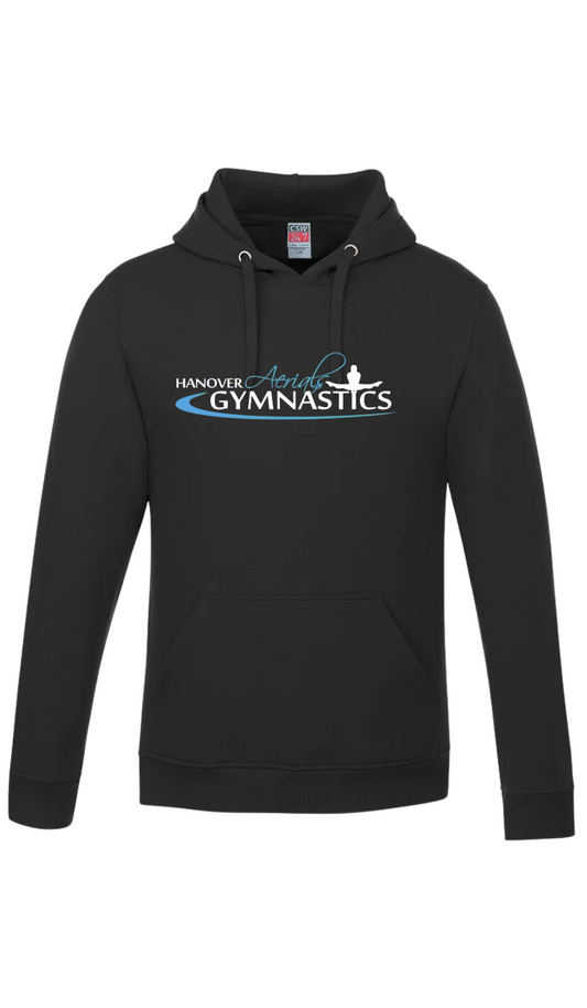 Hooded Sweatshirt- Hanover Aerials