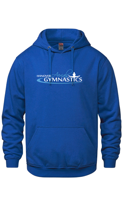 Hooded Sweatshirt- Hanover Aerials