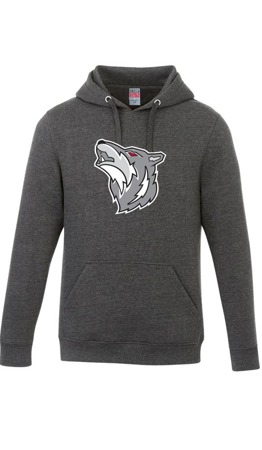 Wolves Graphic Hooded Sweatshirt- Ripley Wolves